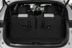 
										BYD Tang EV full									