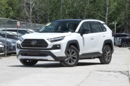 
										Toyota RAV4 full									