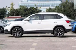 
										Škoda KAMIQ full									