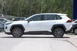 
										Toyota RAV4 full									