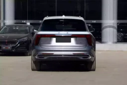 
										Hongqi E-HS9 full									