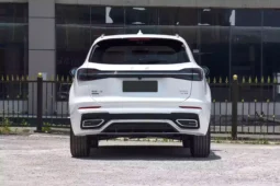 
										Hongqi HS5 full									