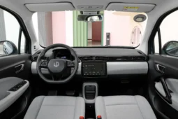 
										Leapmotor T03 full									